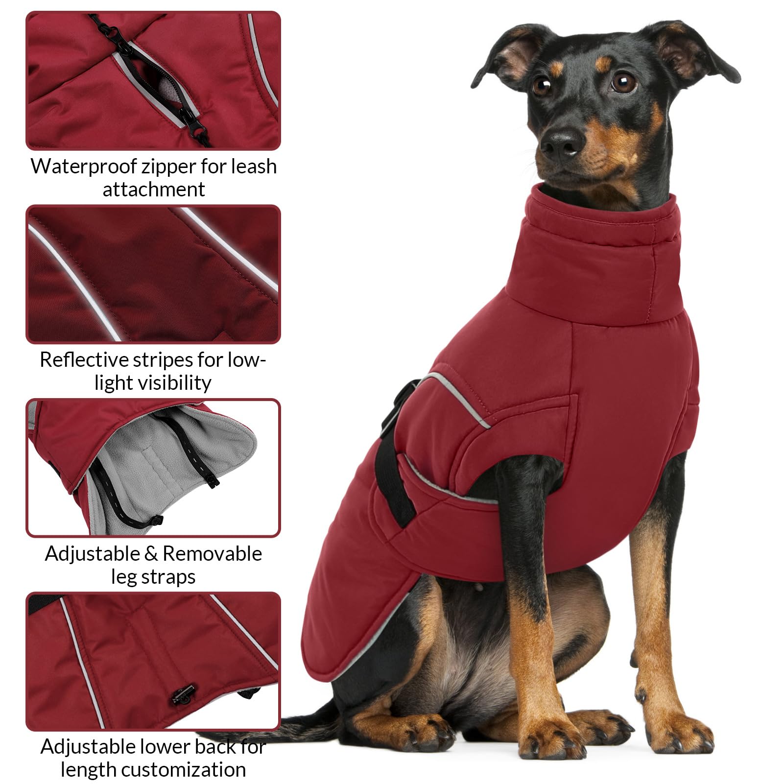 Queenmore capa perro diseño a prueba de viento para climas fríos.