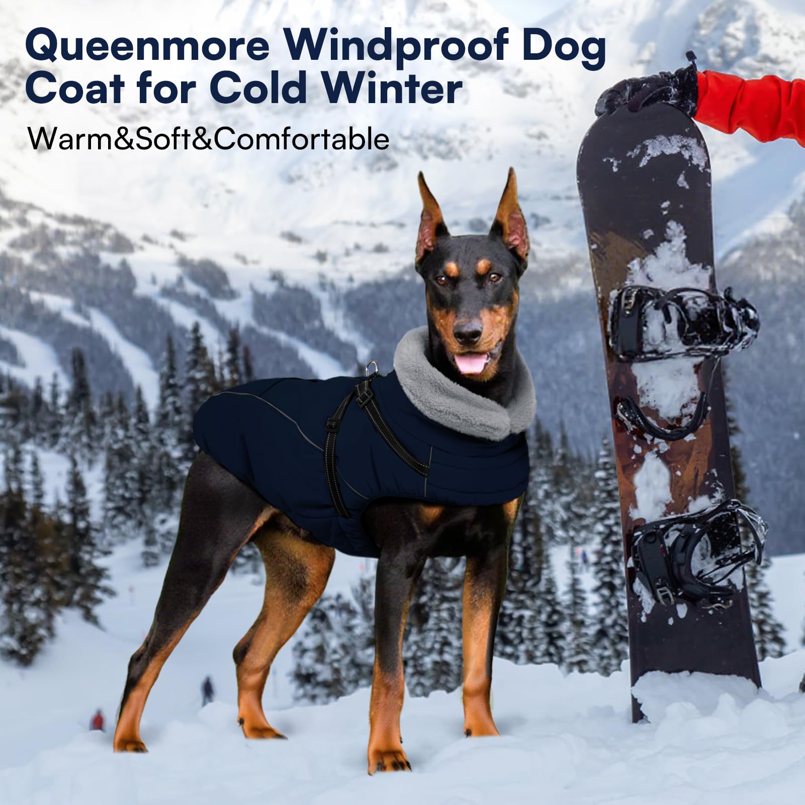 Queenmore capa con banda reflectante para mayor visibilidad nocturna.