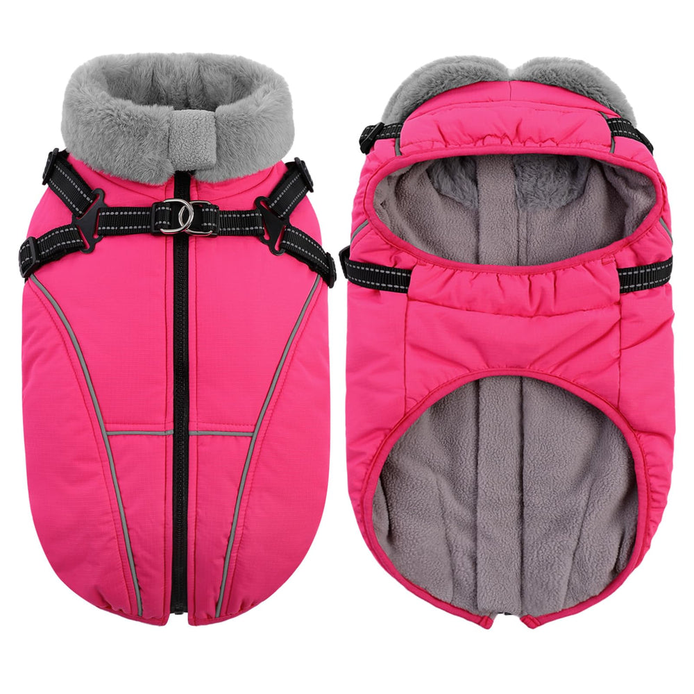 Queenmore capa de invierno para razas medianas como Dachshund