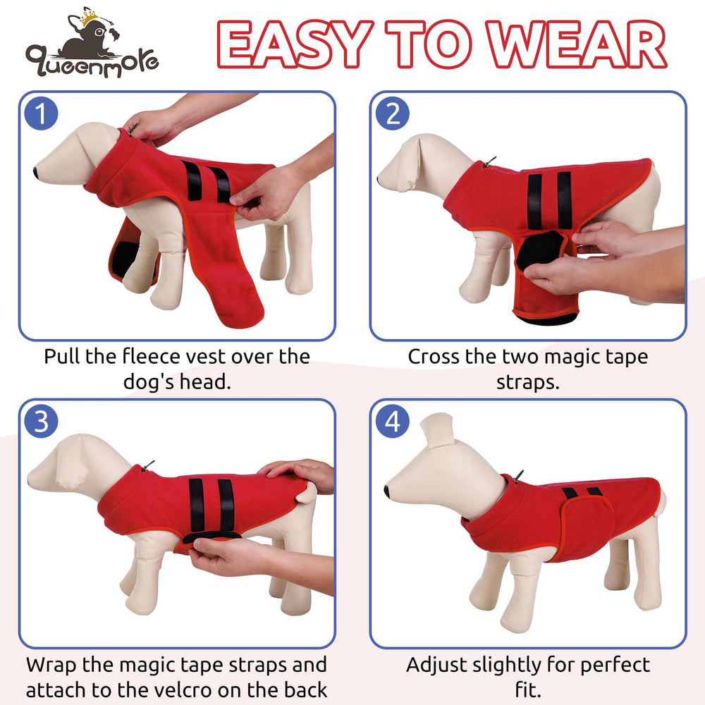 Queenmore chaleco para perro con diseño clásico y detalles decorativos.