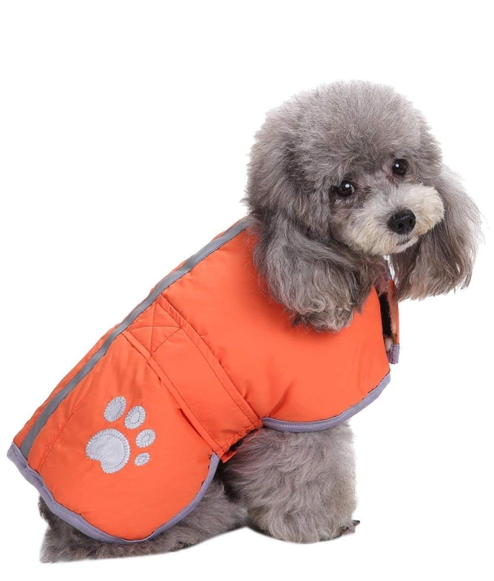 Chaleco Queenmore para perro con cierre de velcro, diseño práctico.