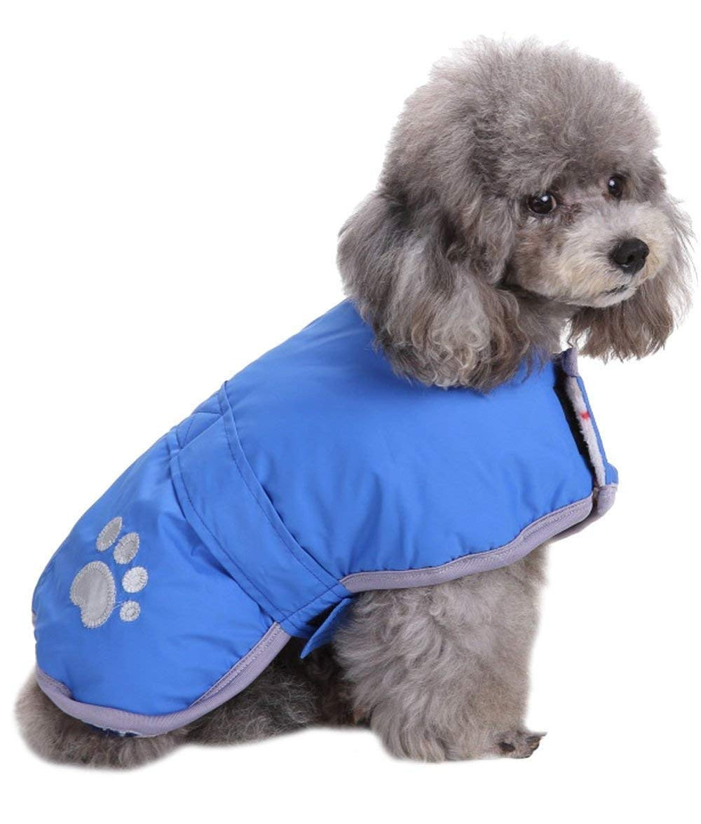 Chaleco exterior resistente de Queenmore para perro, protección contra viento y frío.