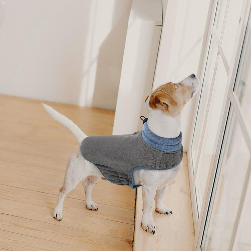 Queenmore chaleco gato perro, uso cómodo en casa.