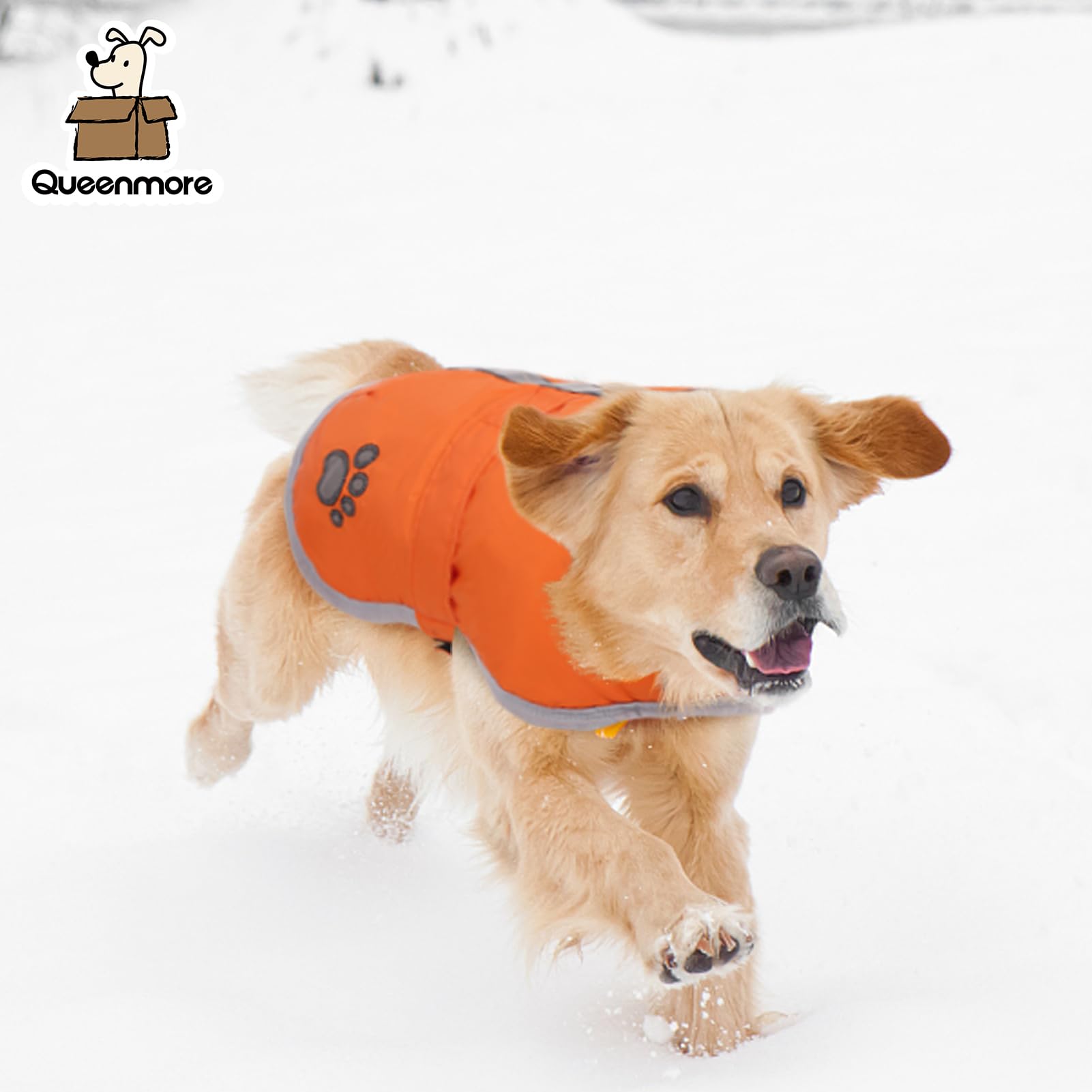 Queenmore chaleco perro reflectante diseno mejora visibilidad nocturna
