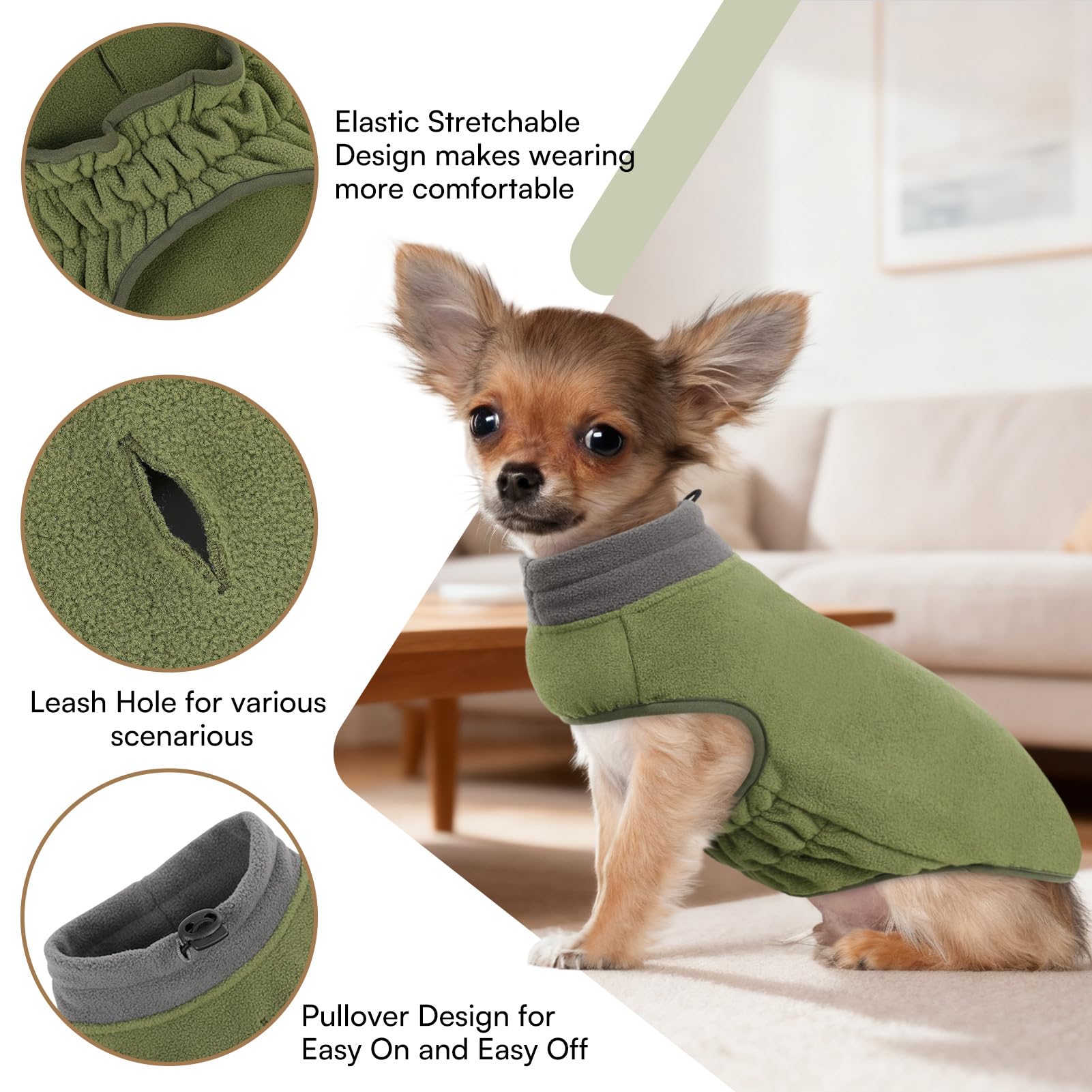 Queenmore chaleco para perro, vista trasera, cobertura del torso sin limitar el movimiento.
