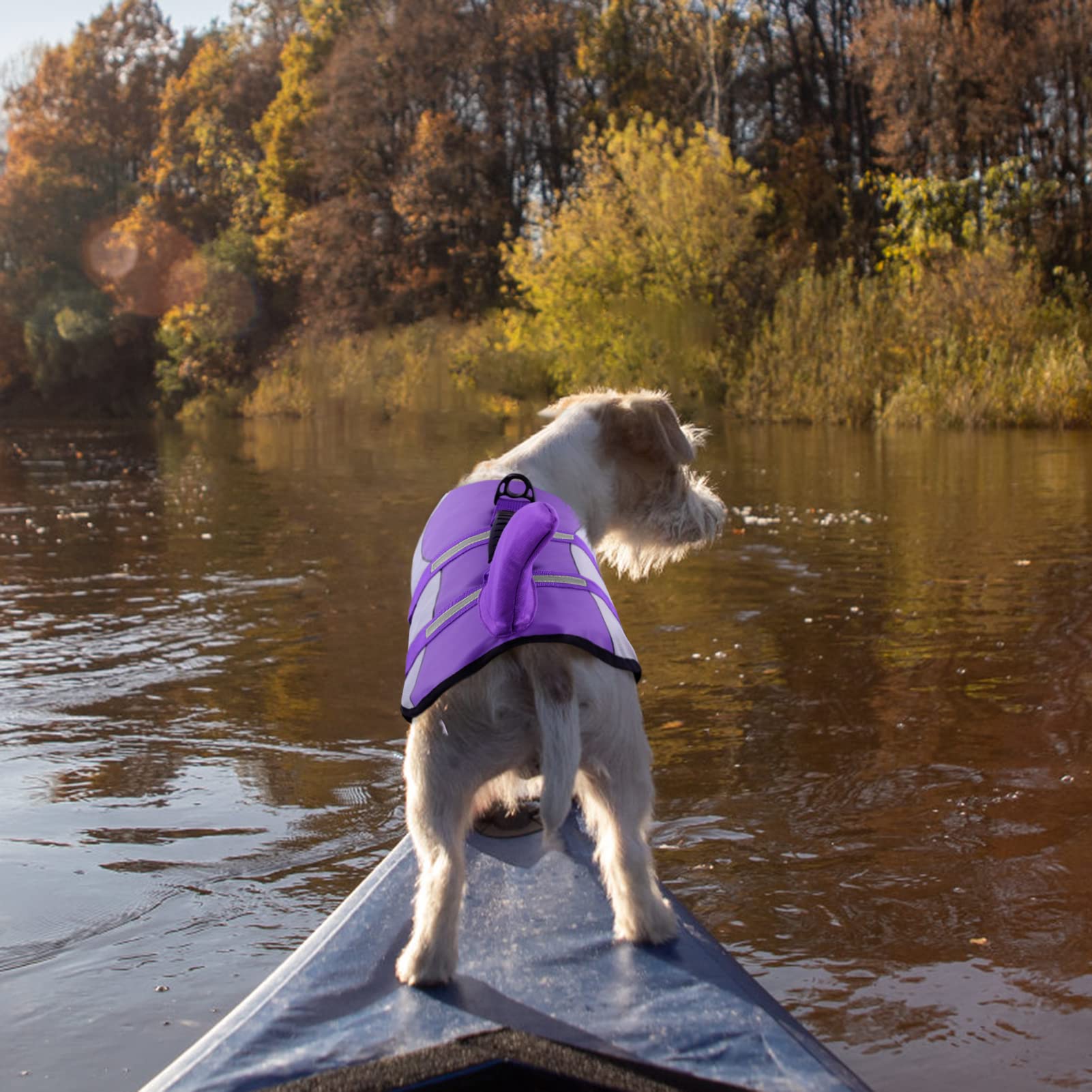 Chaleco Queenmore morado para perros, diseño atractivo para salidas al agua.
