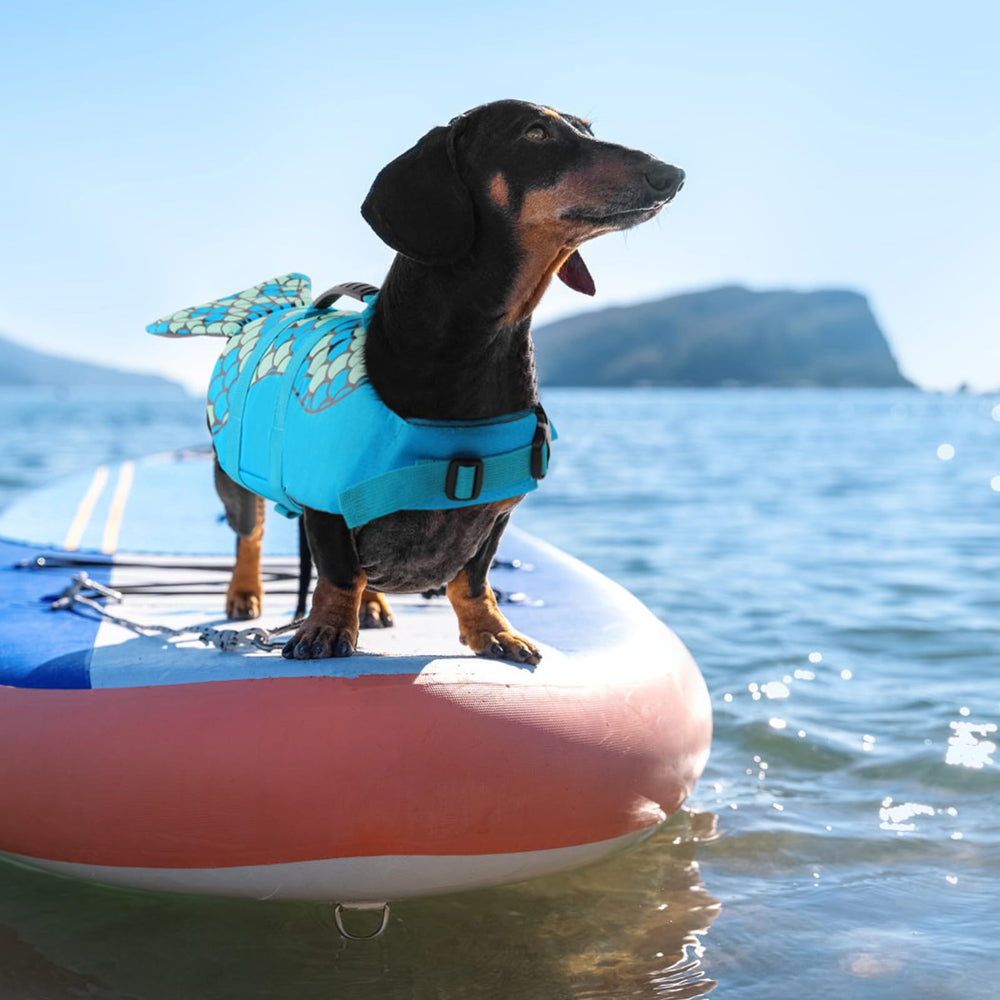 Diseño sirena en chaleco salvavidas para perros Queenmore