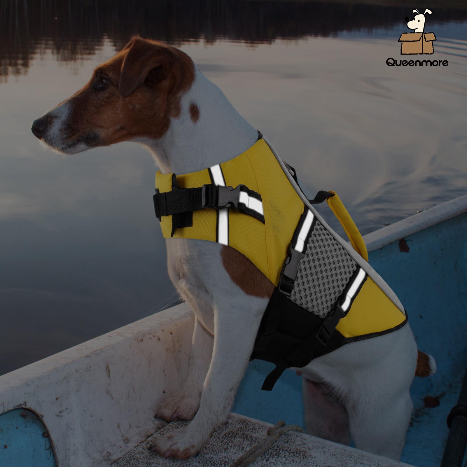 Queenmore chaleco salvavidas perro, para kayak o bote, uso al aire libre.