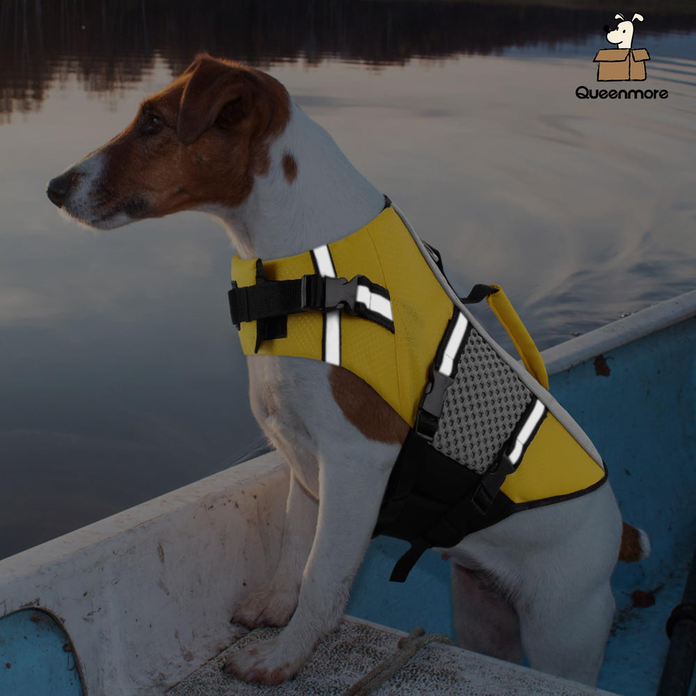Queenmore chaleco salvavidas perro, para kayak o bote, uso al aire libre.