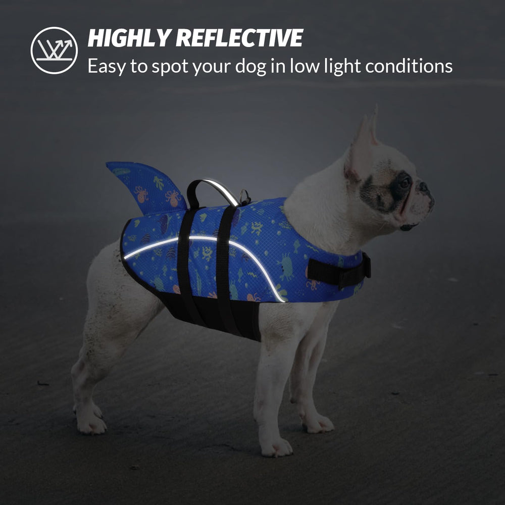 Queenmore chaleco ligero y flotante para perro, perfecto para actividades acuáticas.