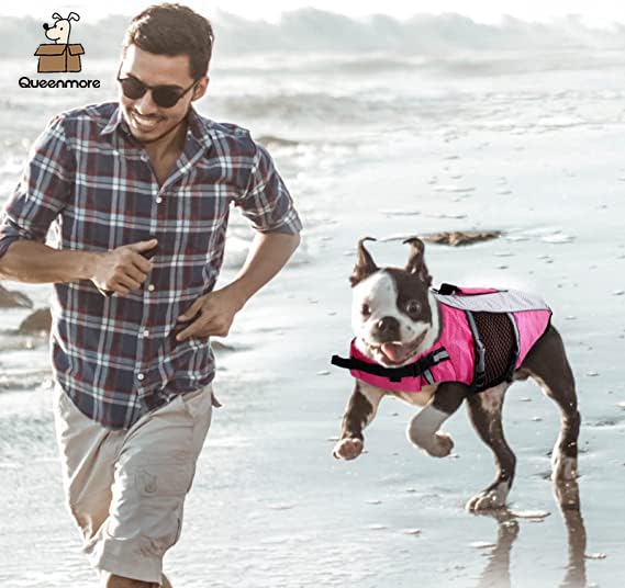 Queenmore chaleco salvavidas perro ligero, neopreno cómodo para salidas largas.