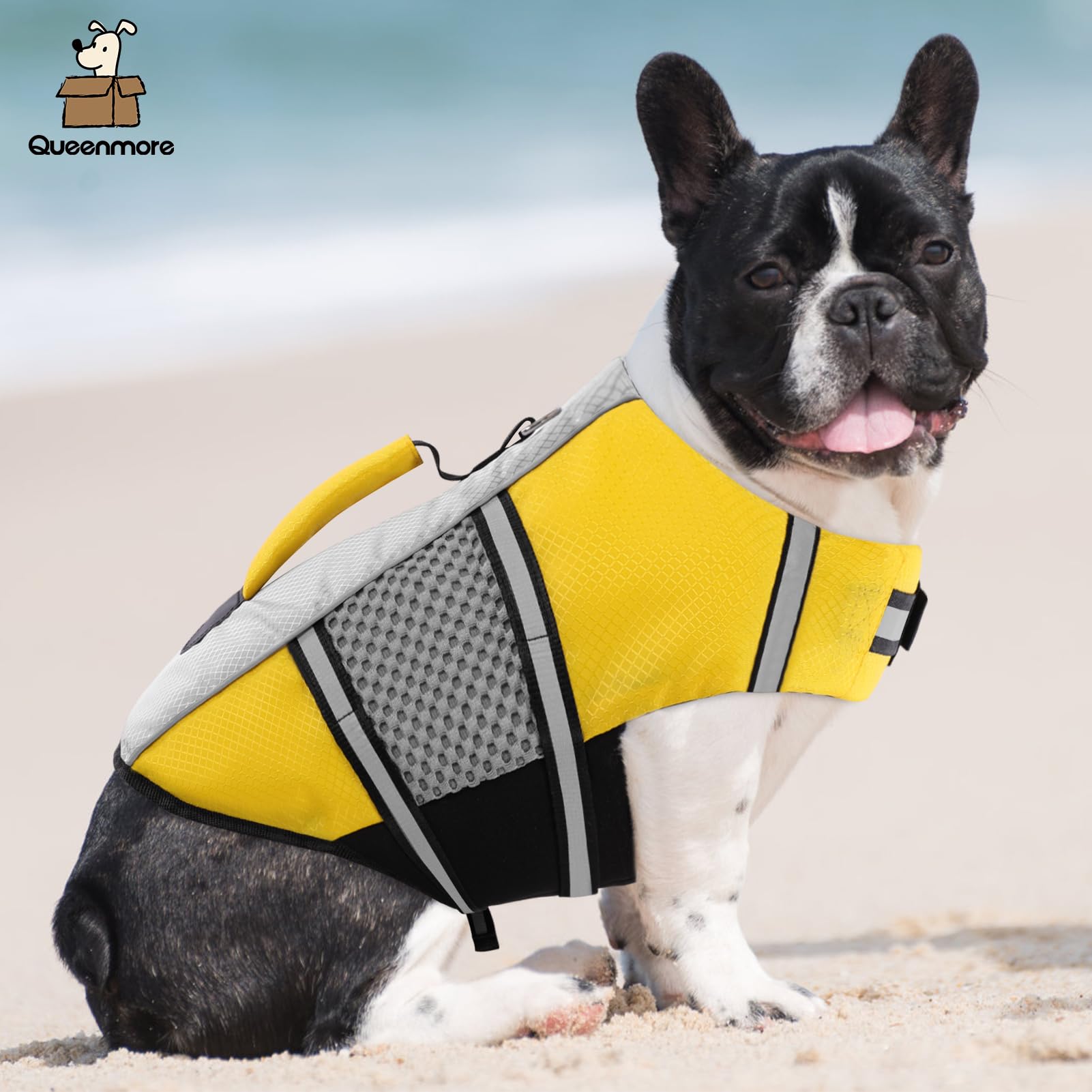 Queenmore chaleco salvavidas perro, neopreno ligero y cómodo.