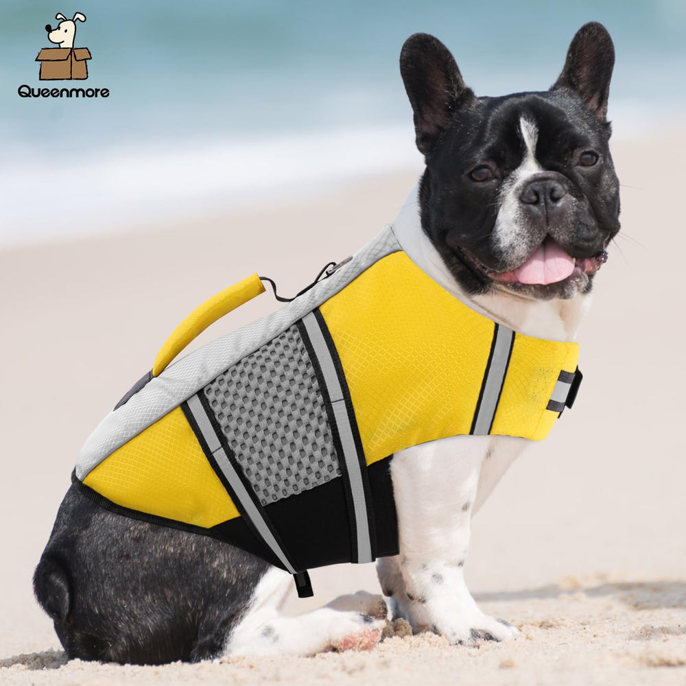 Queenmore chaleco salvavidas perro, neopreno ligero y cómodo.