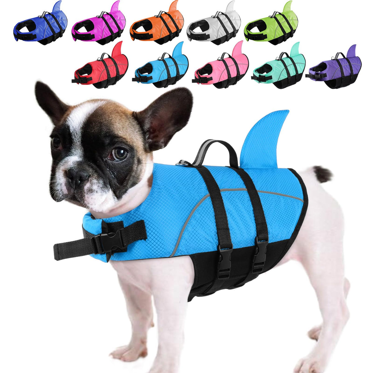Queenmore chaleco salvaescalas para perro pequeño con tiburón, ideal para nadar con seguridad