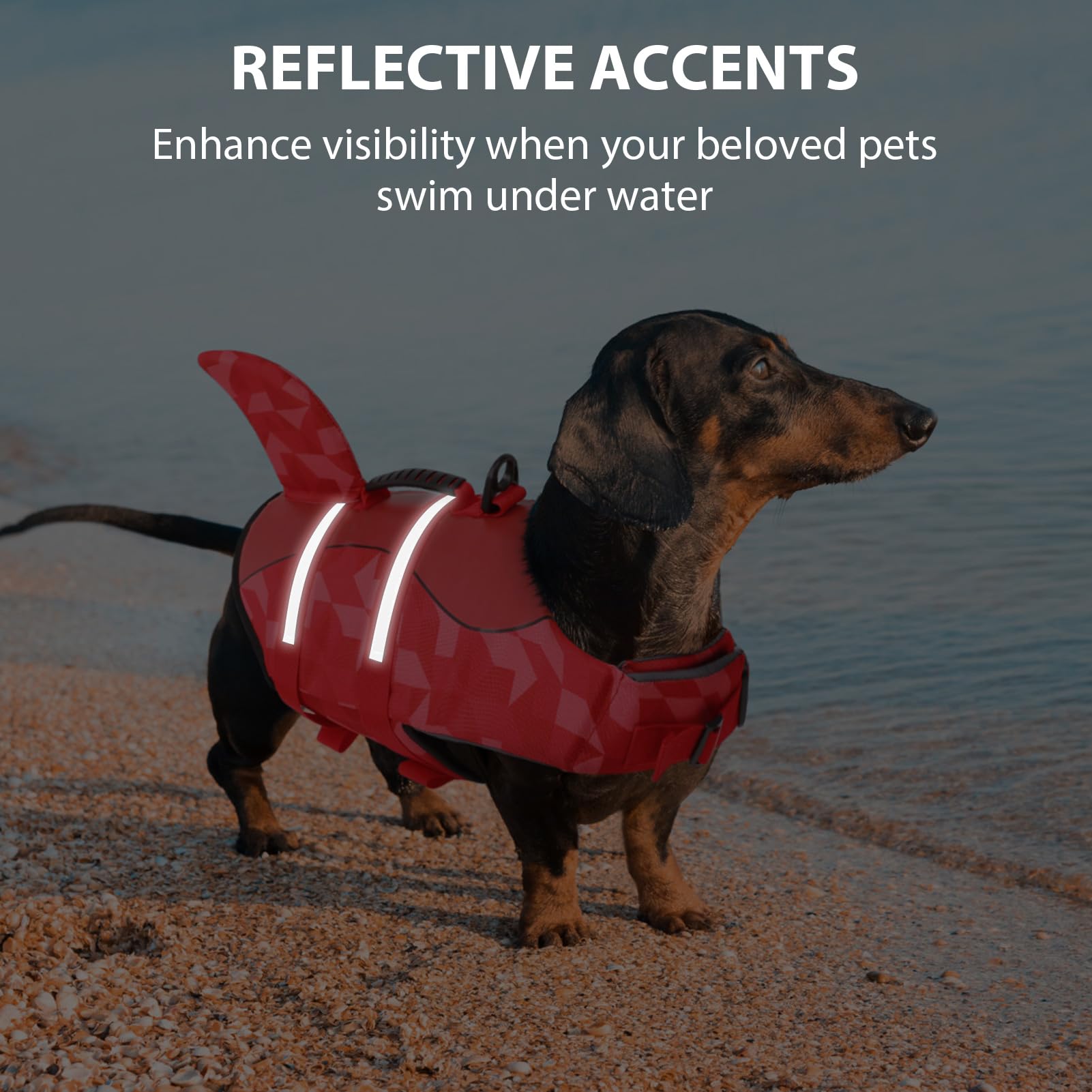 Queenmore chaleco salvavidas para perro con reflectantes para visibilidad nocturna.