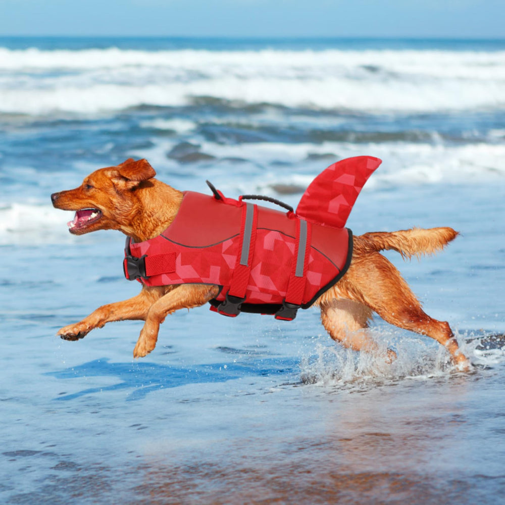 Queenmore chaleco salvavidas para perro de secado rápido para uso al aire libre.