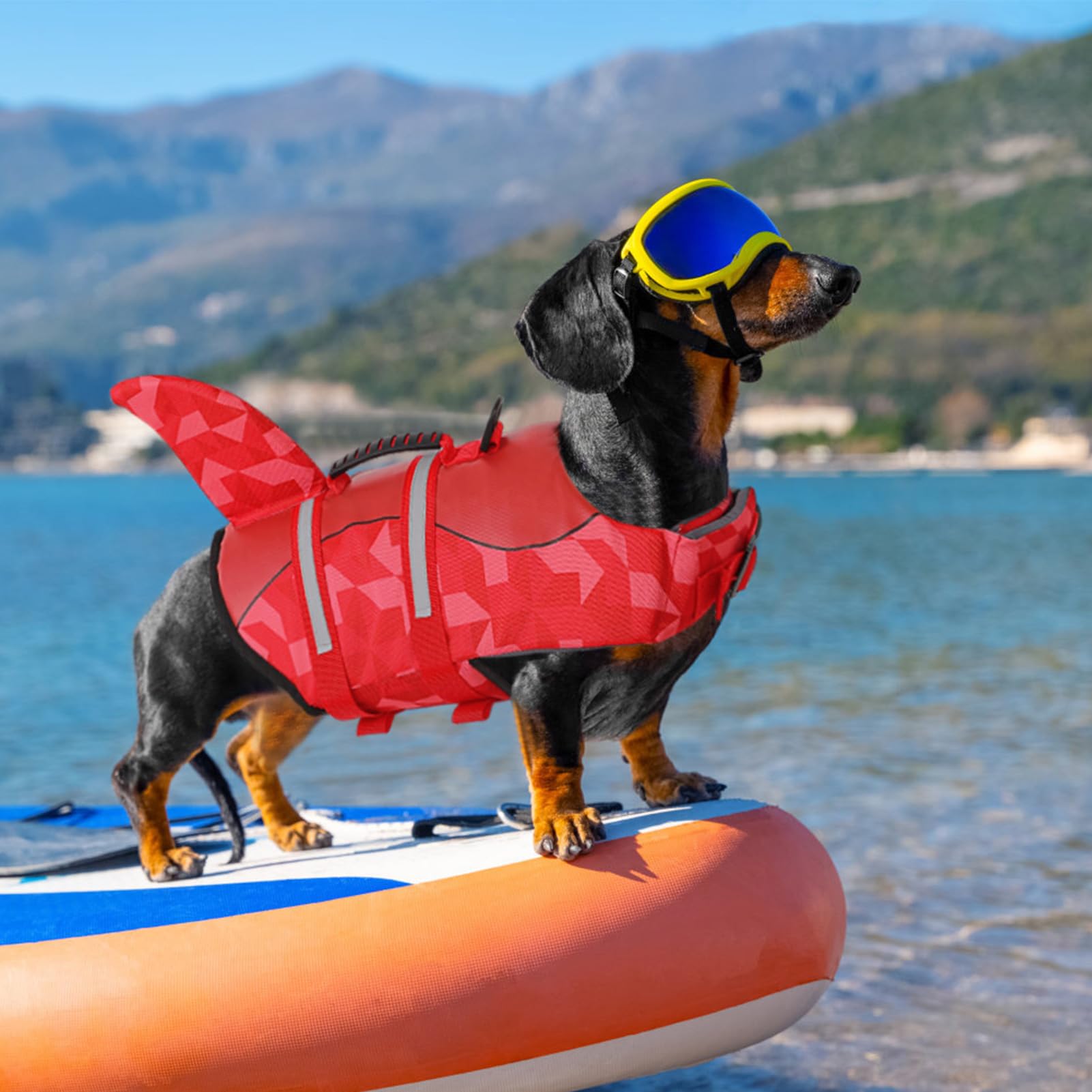 Queenmore chaleco salvavidas para perro en tallas variadas para diferentes tamaños.