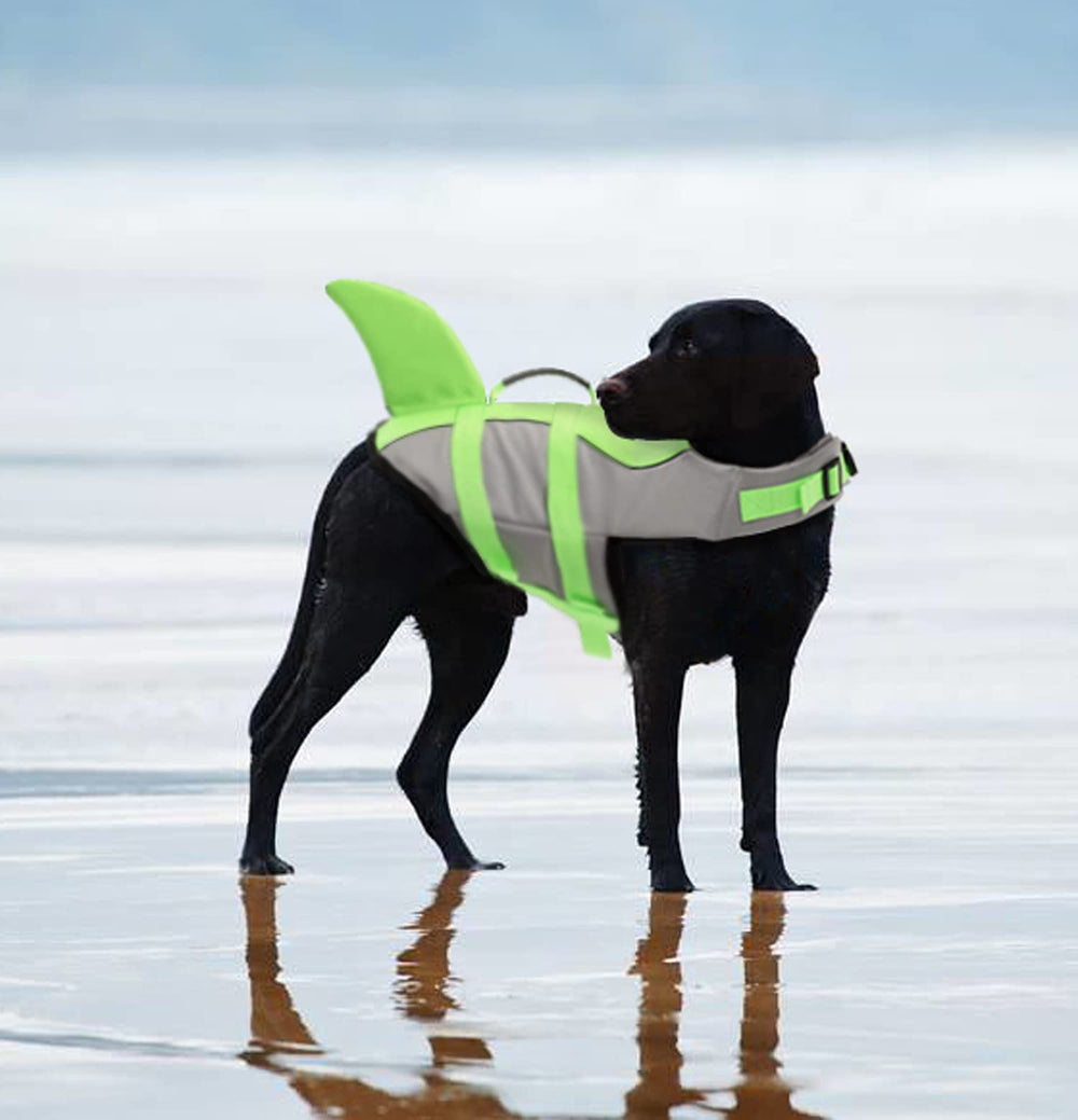 Tallas XS a XXL del chaleco Queenmore para perros