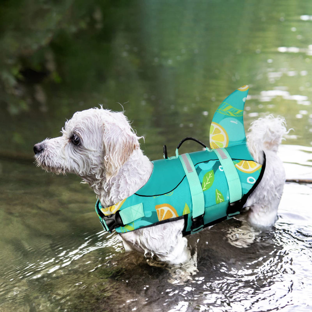 Chaleco salvavidas Queenmore con impresión verde, ideal para perros medianos.