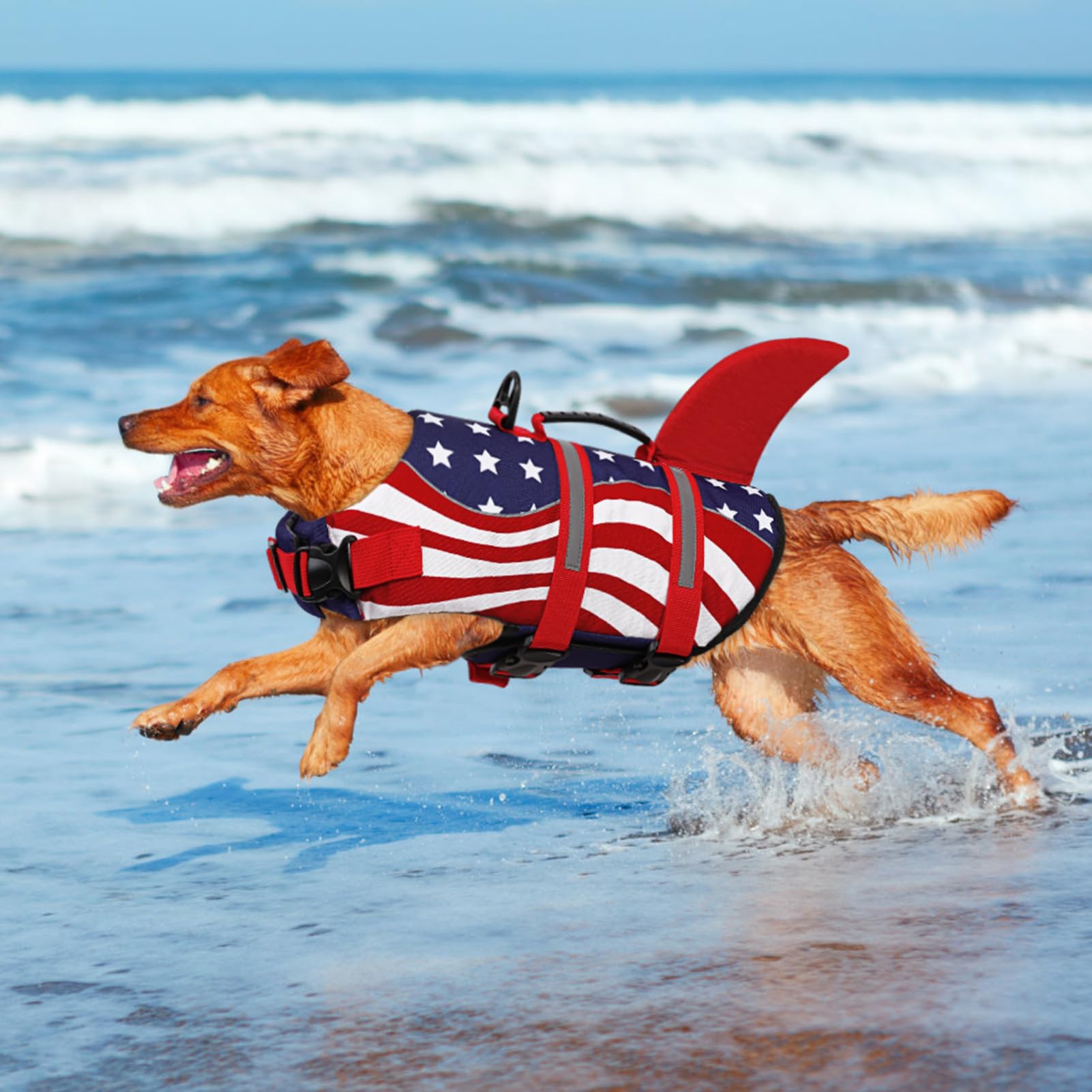 Diseño tiburón que ayuda a localizar al perro en el agua