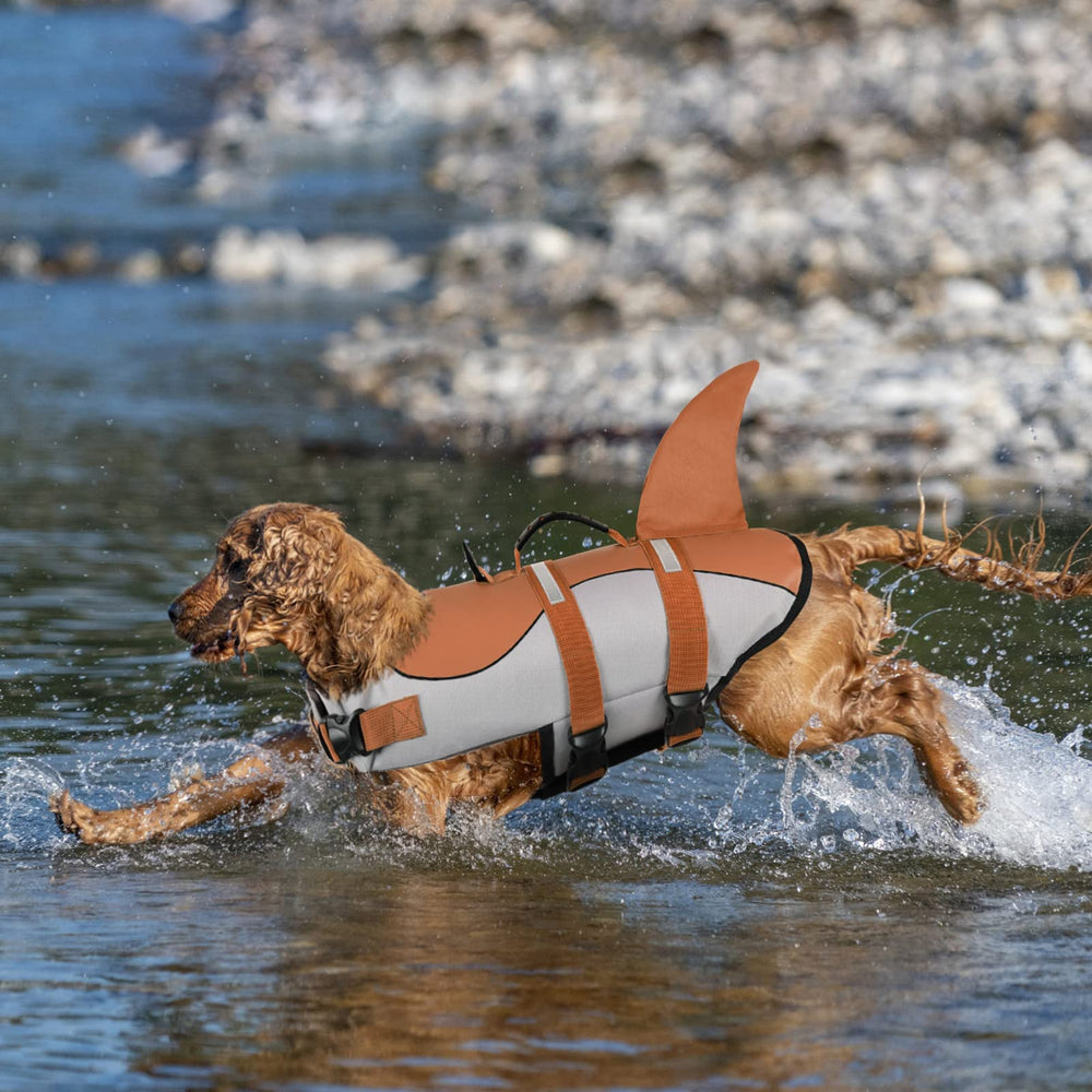 Chaleco Queenmore con diseño tiburón y aleta atractiva para jugar cerca del agua.