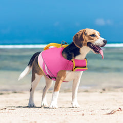 Queenmore chaleco vida para perro, ideal para paseos en barco.