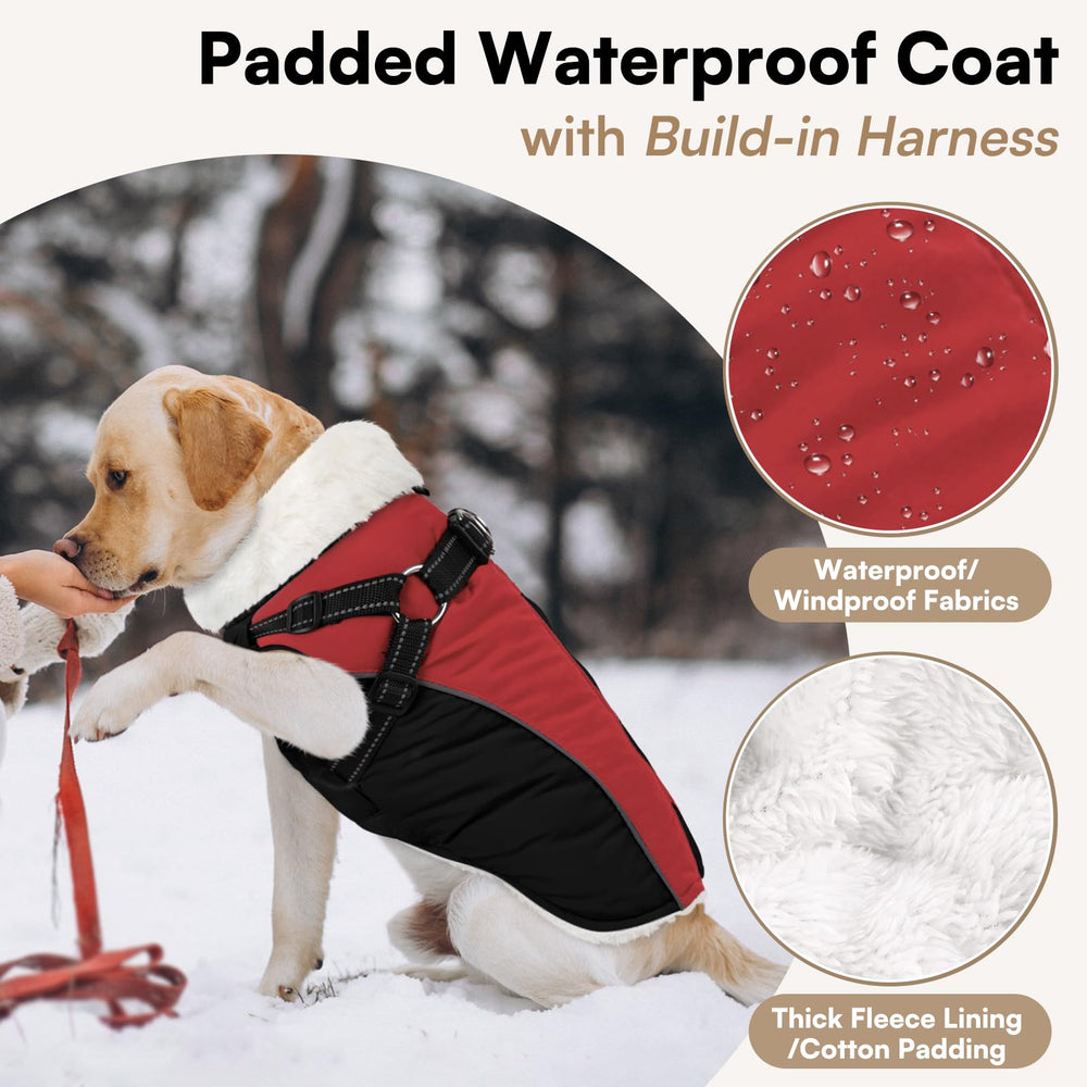 Queenmore chaqueta impermeable y reflectante, ideal para lluvia y visibilidad nocturna.