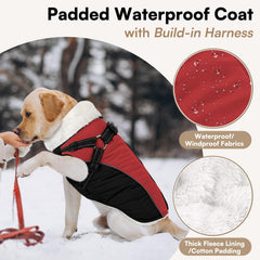 Queenmore chaqueta impermeable y reflectante, ideal para lluvia y visibilidad nocturna.