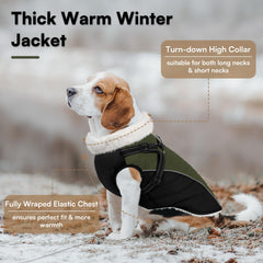 Queenmore chaqueta para perro con reflectantes para mayor visibilidad.