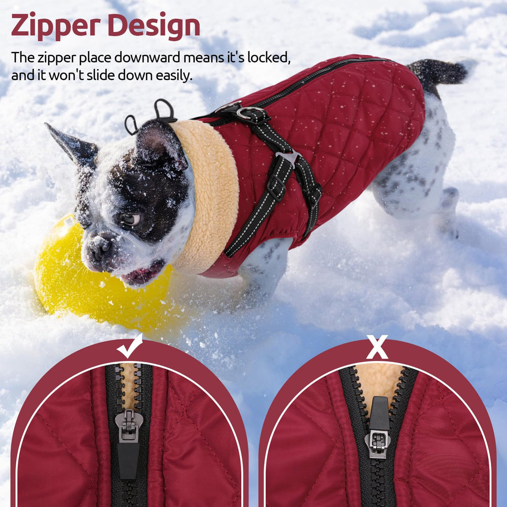 Queenmore diseño ergonómico de chaqueta para perros grandes