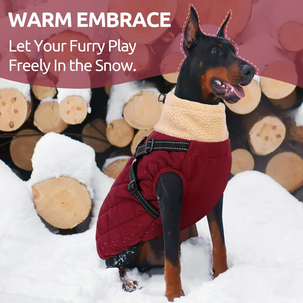 Queenmore chaqueta impermeable para perros grandes protegiendo del agua