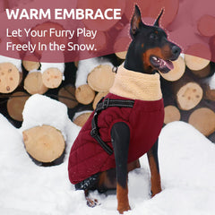 Queenmore chaqueta impermeable para perros grandes protegiendo del agua