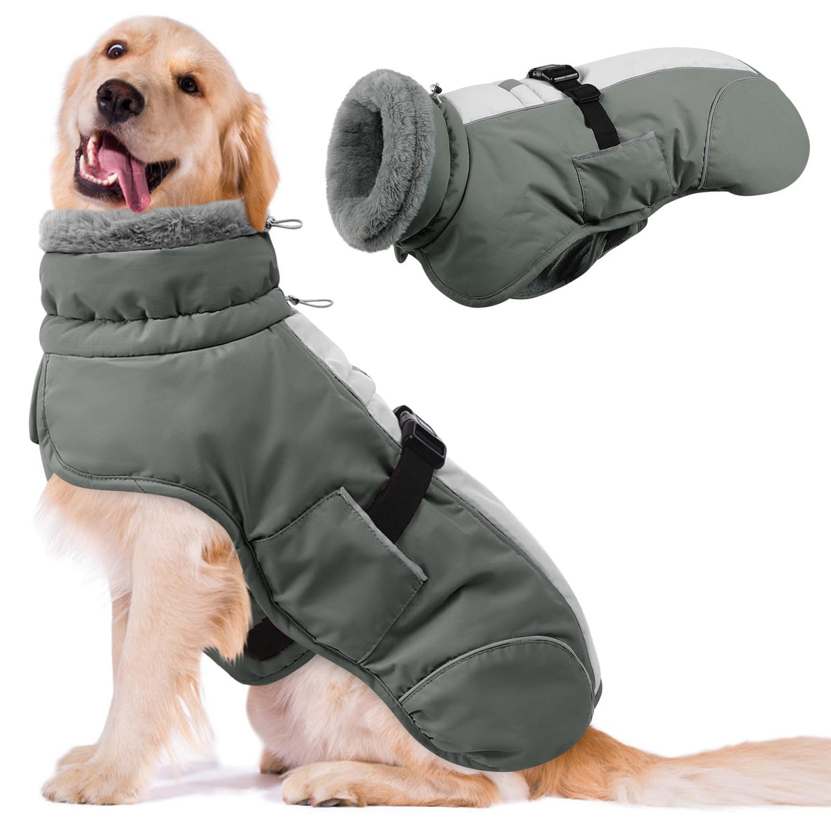 Queenmore chaqueta gris XXXL, vista frontal con forro cálido para perros.