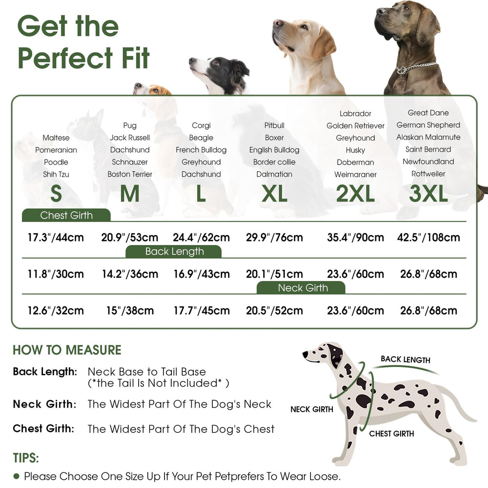 Cierre de espalda de Queenmore, cremallera suave para vestir sin tirar del pelo.