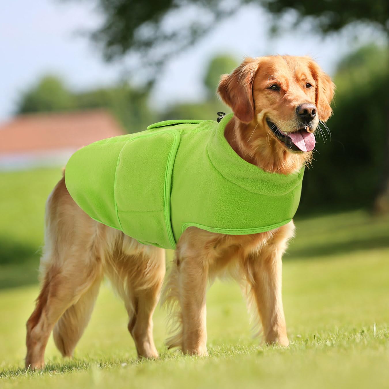 Guía de tallas XS-XL para ajuste cómodo.
