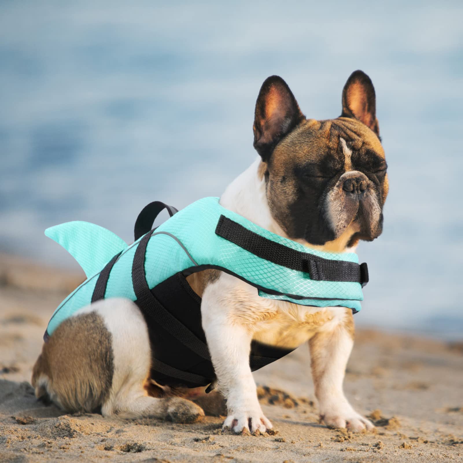 Queenmore chaqueta salvavidas perro, interior de neopreno para mayor confort durante la natación.