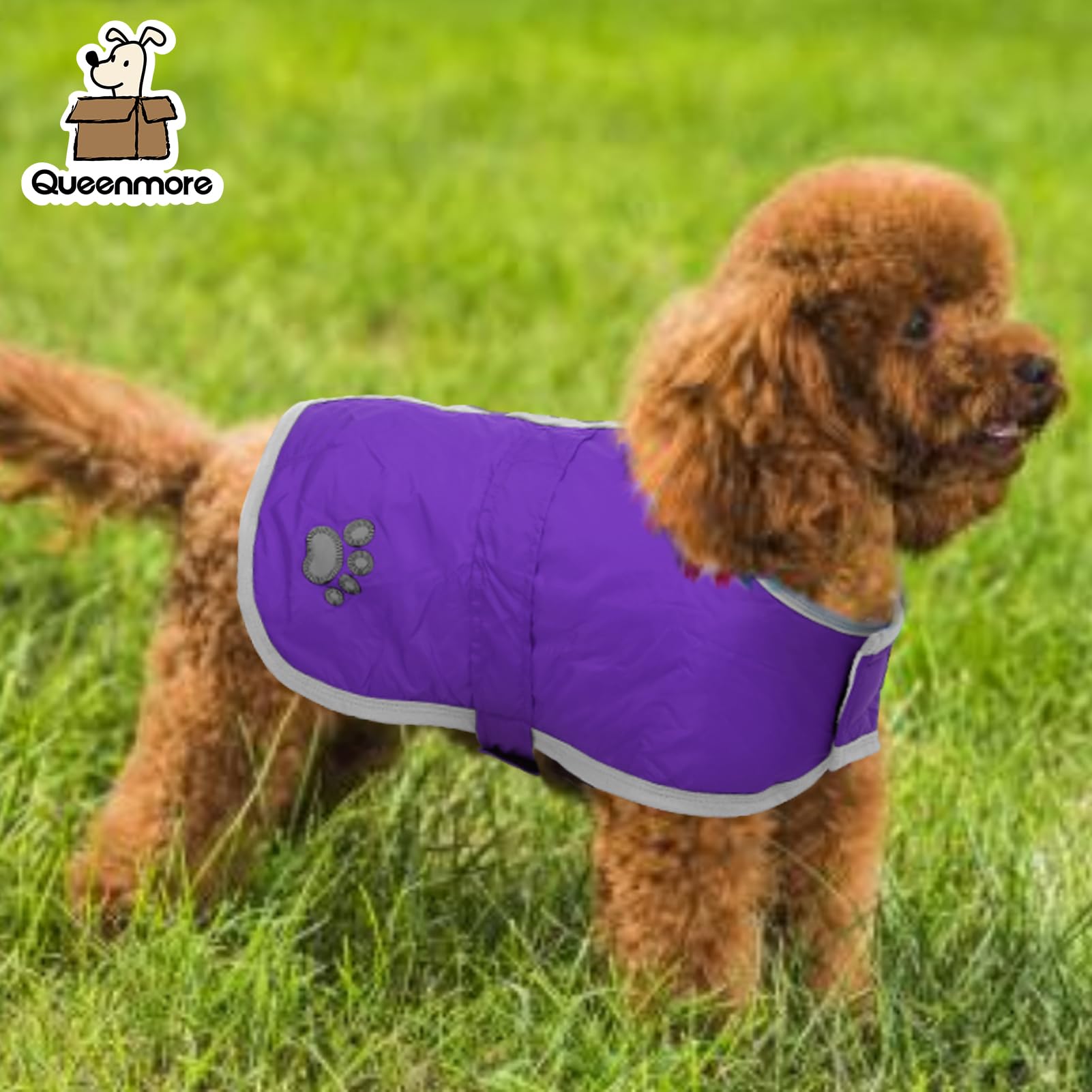 Queenmore cierre de velcro en abrigo para perro, ponlo y quítalo fácilmente.