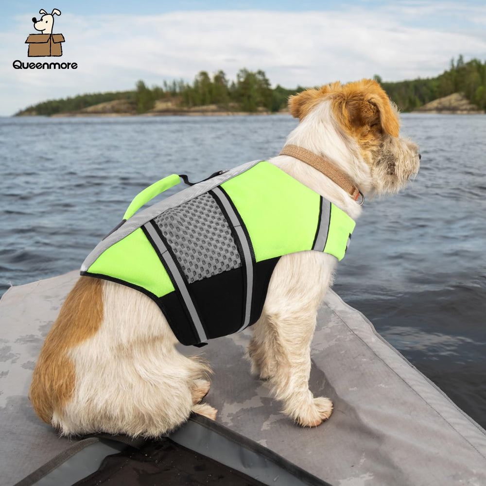 Queenmore cintas reflectantes mejoran visibilidad en agua y noches