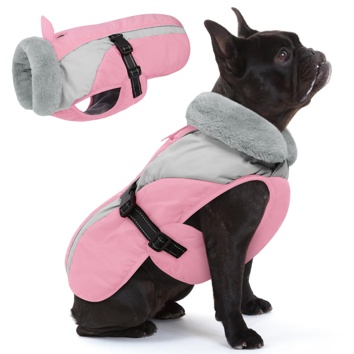 Queenmore cobijo invierno perro pequeno para paseos fríos con forro suave.