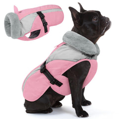 Queenmore cobijo invierno perro pequeno para paseos fríos con forro suave.