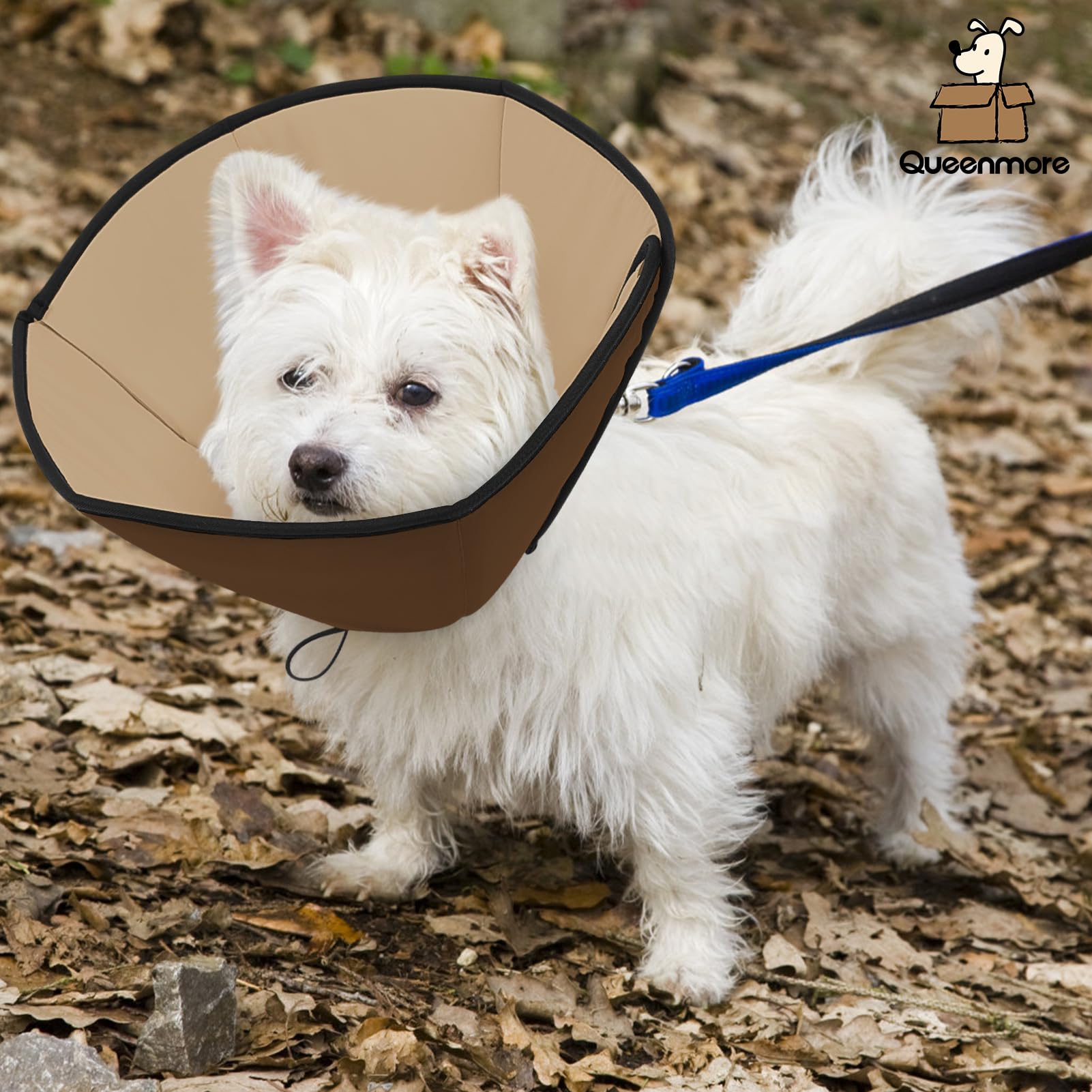 Borde suave del cono Queenmore para mayor comodidad.