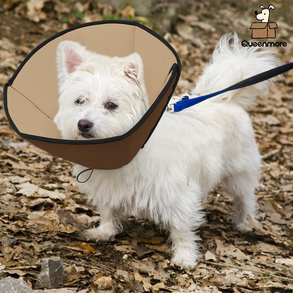 Borde suave del cono Queenmore para mayor comodidad.