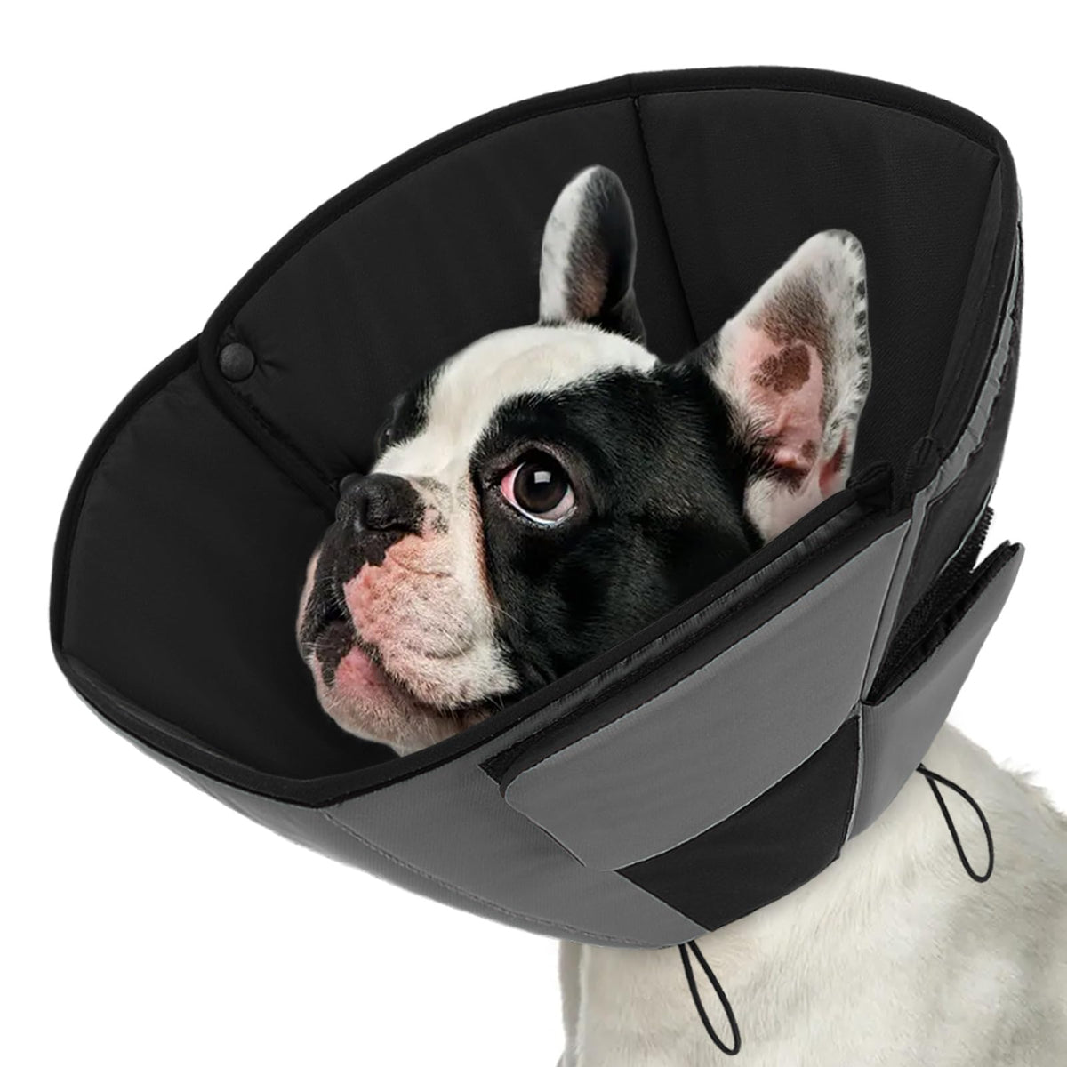 Queenmore cono suave para perros pequeños ofrece comodidad durante la recuperación.
