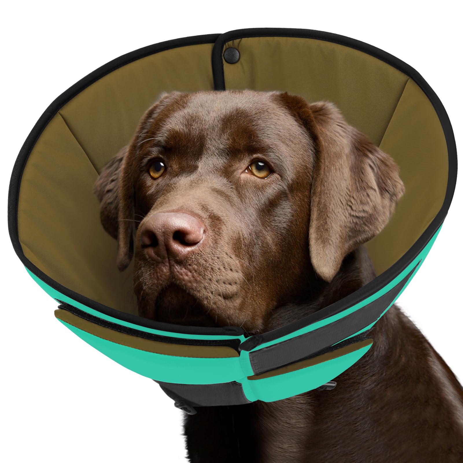 Queenmore cono suave para perro tras cirugía protege la herida
