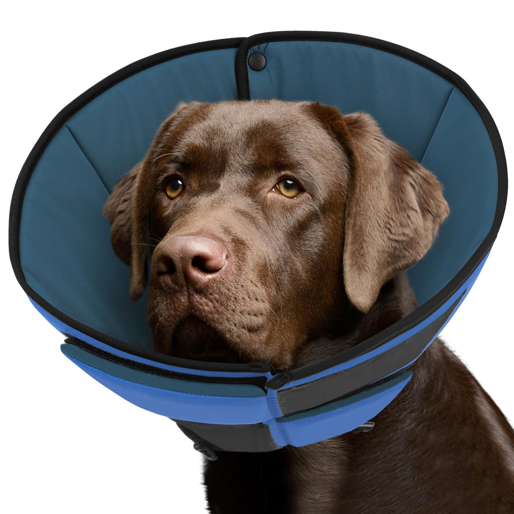 Queenmore cono suave para perro grande en azul, comodidad.