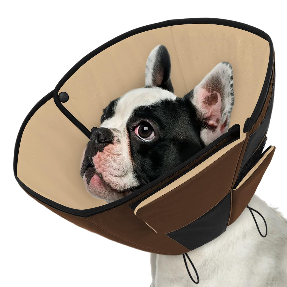 Cono suave Queenmore para perro pequeño, comodidad durante la recuperación y menos estrés.