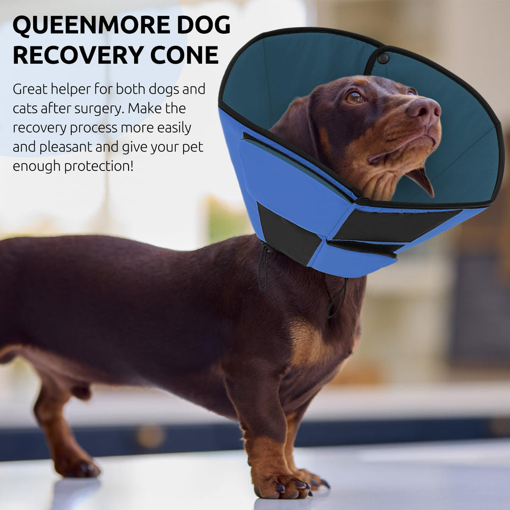 Queenmore cono de uso fácil para dueños y mascotas durante la recuperación.