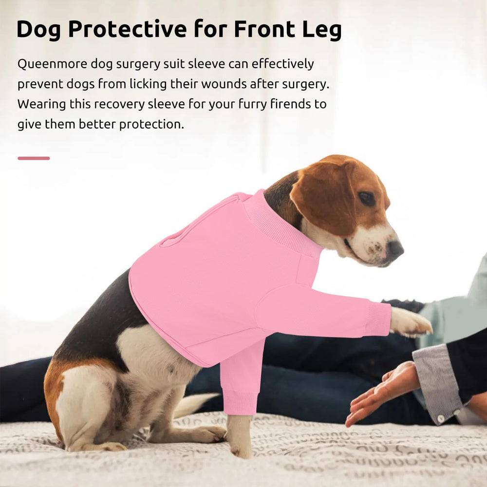 Queenmore diseño multifuncional para protección diaria del perro.