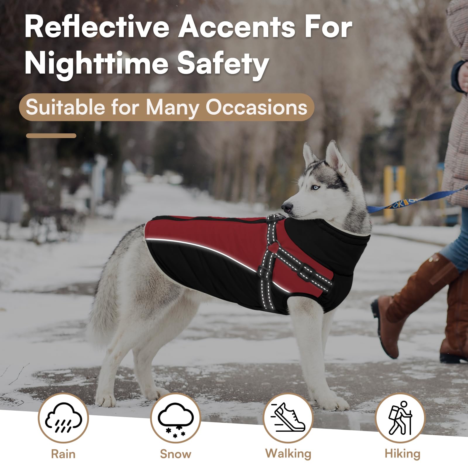 Queenmore diseño adaptable para todas las tallas de perros, desde XS a XXL.