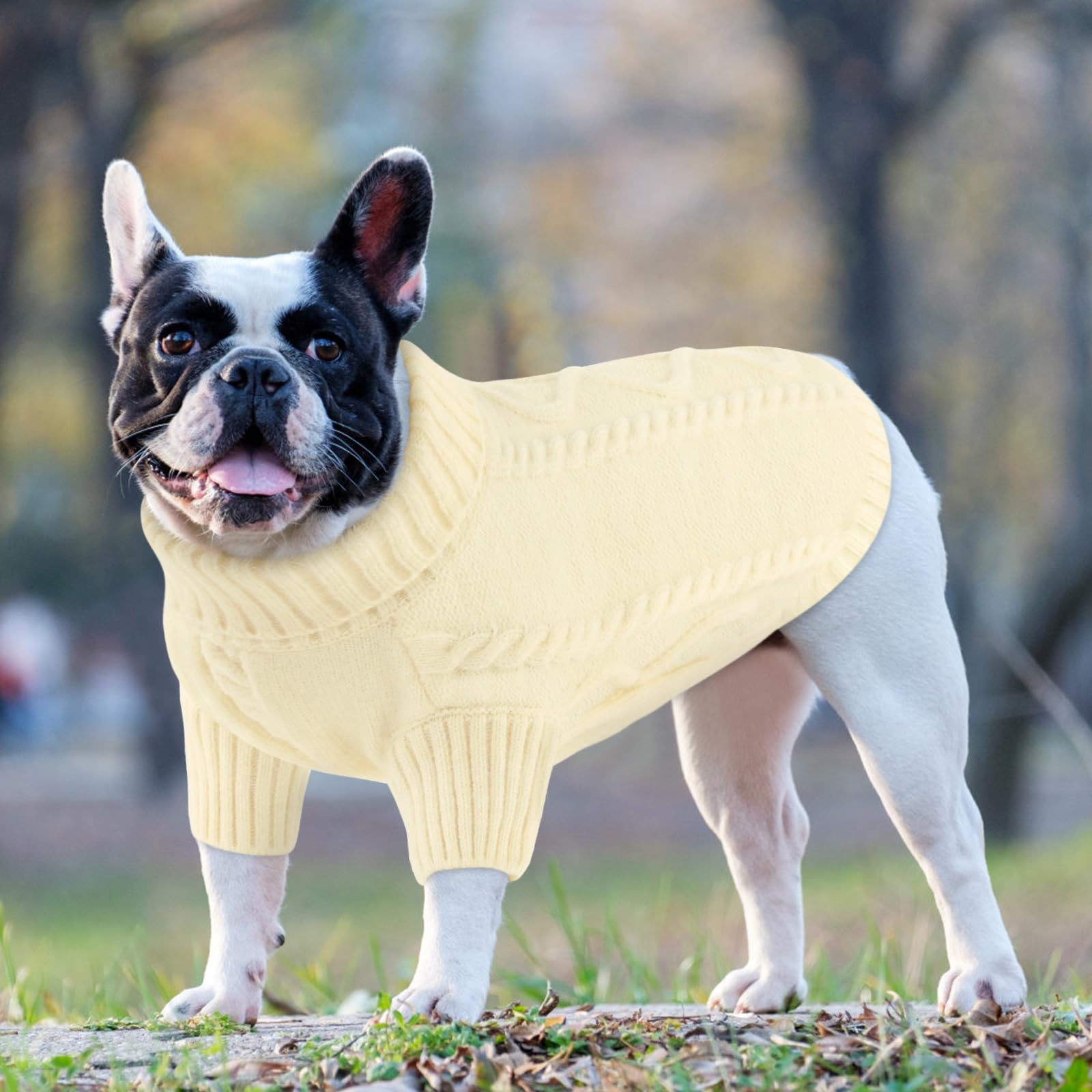 Queenmore diseño trenzado cálido, ideal para salidas nocturnas con perro pequeño